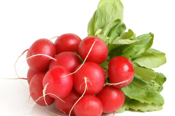 Rabanitos